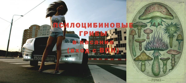 первитин Елабуга